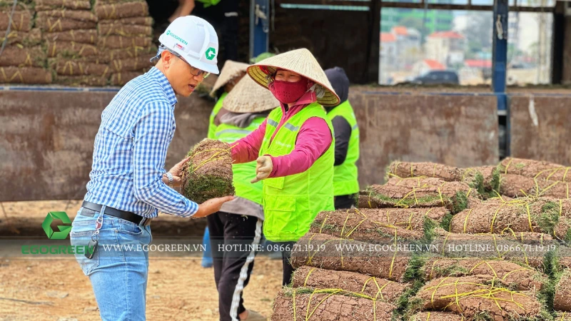 7 tiêu chí lựa chọn công ty thiết kế cảnh quan uy tín trước khi đầu tư hàng trăm triệu đồng